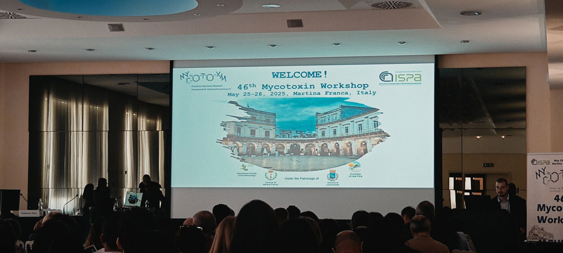 Driving Reliability in Mycotoxin Testing: LVA at the 46th Mycotoxin Workshop