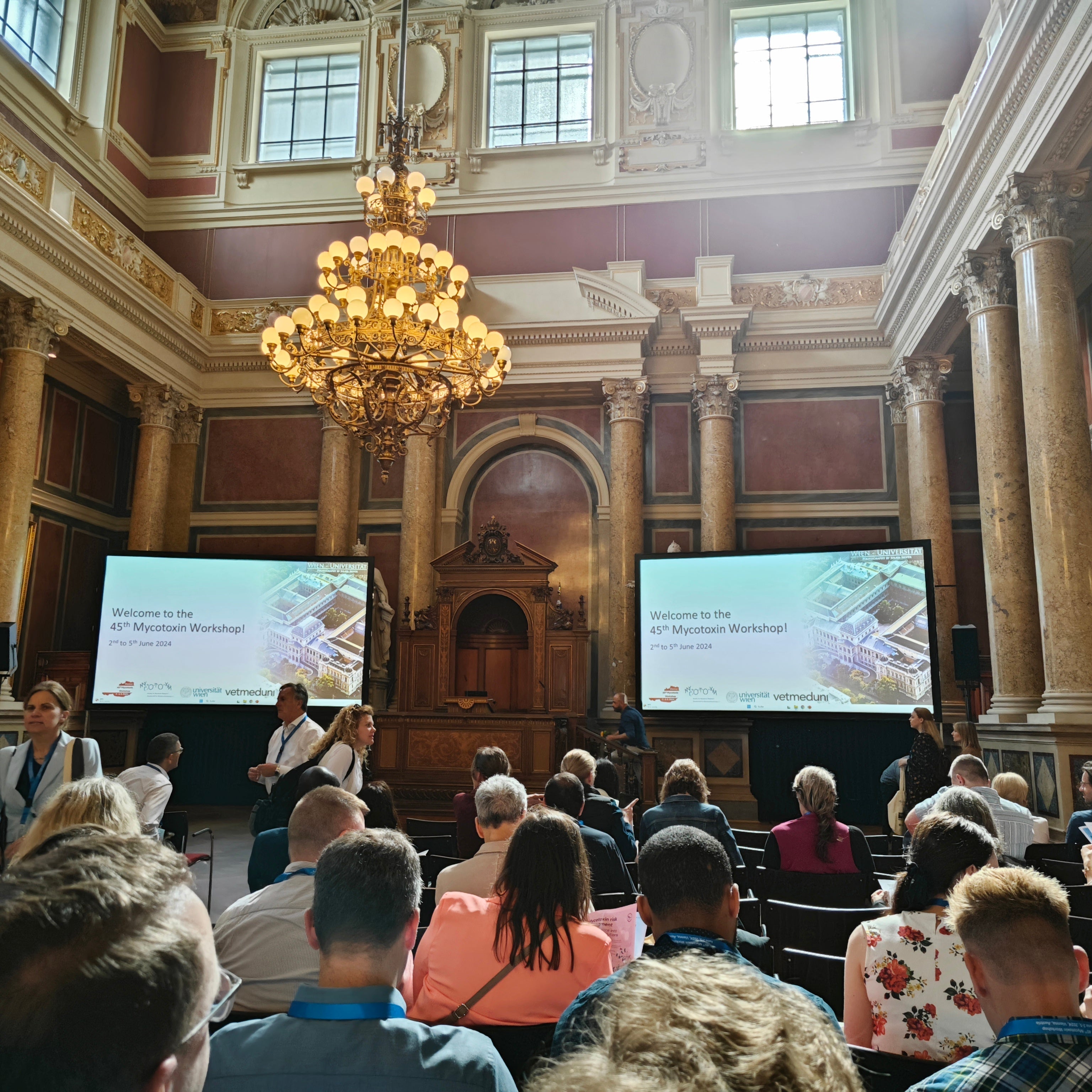 From Certificate to Reality: Advancing Mycotoxin Reference Material Quality